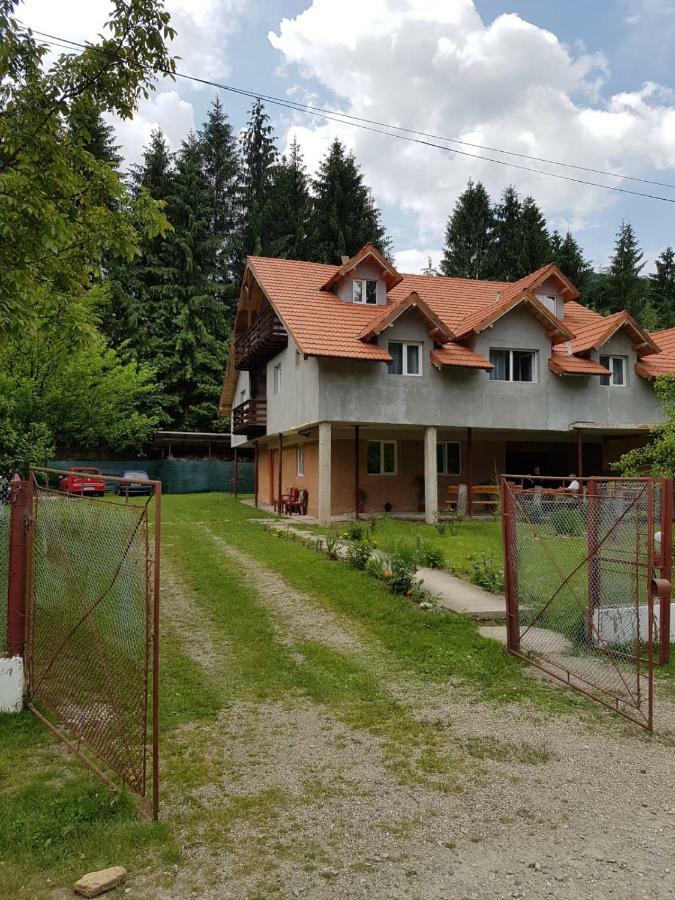Cabana Merisor Hotel Poiana Mărului Buitenkant foto